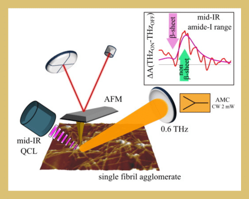 Effect of 0.6-THz Continuous-Wave Irradiation on Pathologically Relevant Protein Aggregates