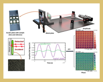 Detecting Genetic Variation in Plants by Mapping Cell Water Dynamics With Terahertz Laser Feedback Interferometry