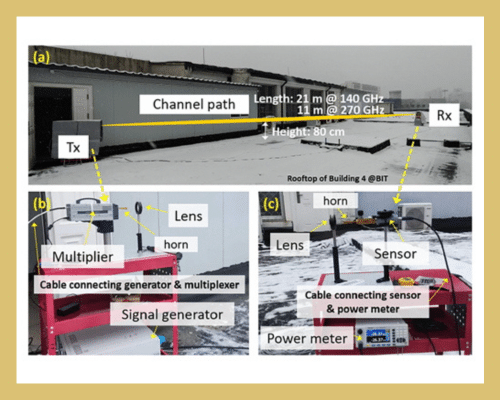 Impact of Snowfall on Terahertz Channel Performance: Measurement and Modeling Insights