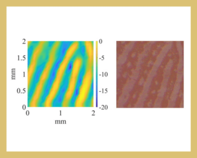 Toward Advanced Security Fingerprint Biometrics Using Super-Resolution Terahertz Microscopy