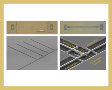 Separation of Loss Mechanisms in Nb Superconducting Thin-Film Transmission Lines