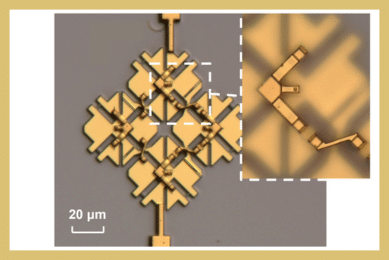 Coherent Oscillation in a 2-D Resonant-Tunneling-Diode Terahertz Oscillator Array