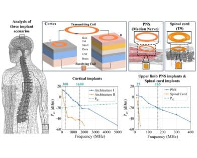 A Systematic Study of Wireless Link Frequency Selection Strategies for Miniaturized Backscattering Neural Implants