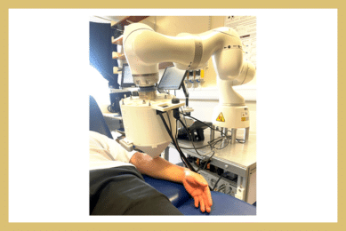 Applying Frequency-Wavelet Domain Deconvolution to in Vivo Terahertz Measurements of Skin Conditions