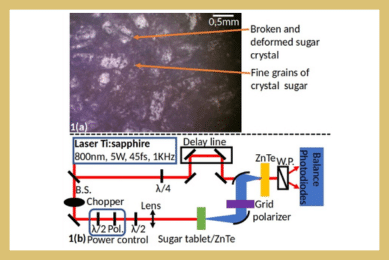 Terahertz Generation in Nonlinear Crystal Powders