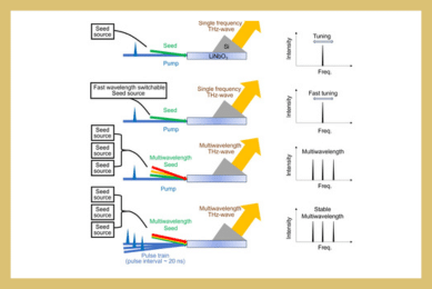 Multiwavelength Terahertz Parametric Generation Using Higher Order Stokes Beams