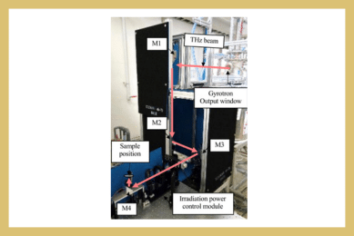 Development of a 600-GHz Optical System for Electromagnetic Field Exposure Assessment Using a Gyrotron