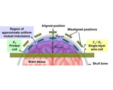 Development of a Magnetic Resonant Wireless Power Transfer System for Brain Implants