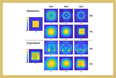 Concurrent Terahertz Image Differentiation and Integration Processing via Polarization-Multiplexed Metasurface