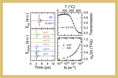 Probing the Transport Dynamics of GaAs Under High Temperature Through Terahertz Spectroscopy